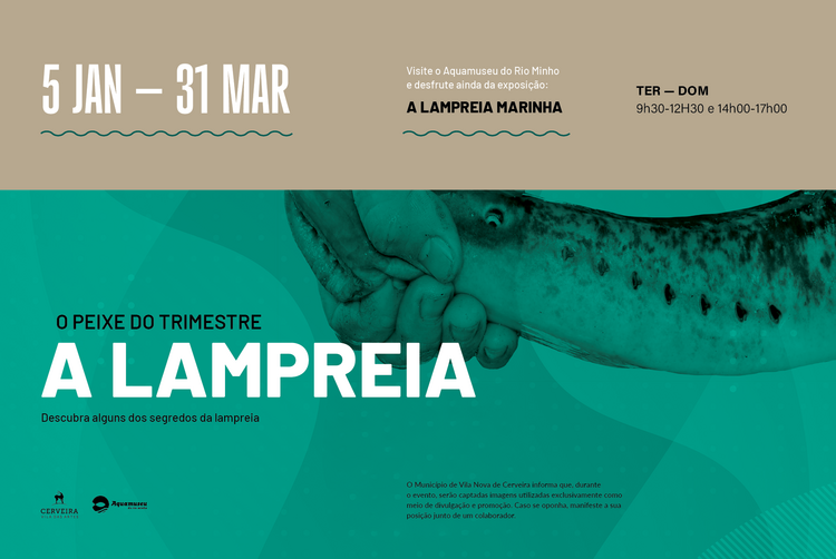 foto_noticias_lampreia_26