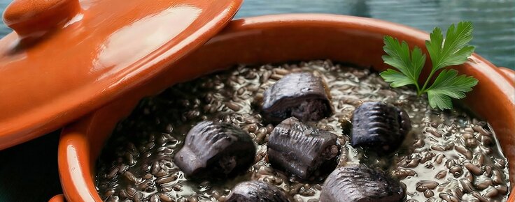 lampreia_rio_minho_site