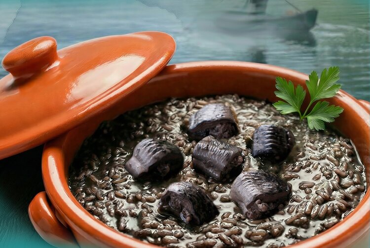 lampreia_rio_minho_site