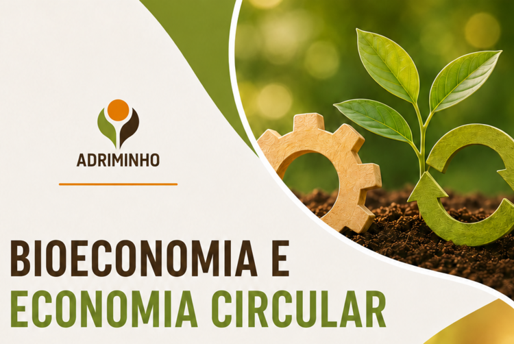 adriminho_2026_sitee