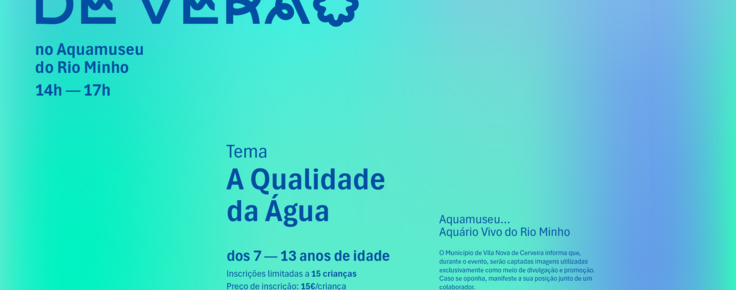 foto_feriasv_site_26