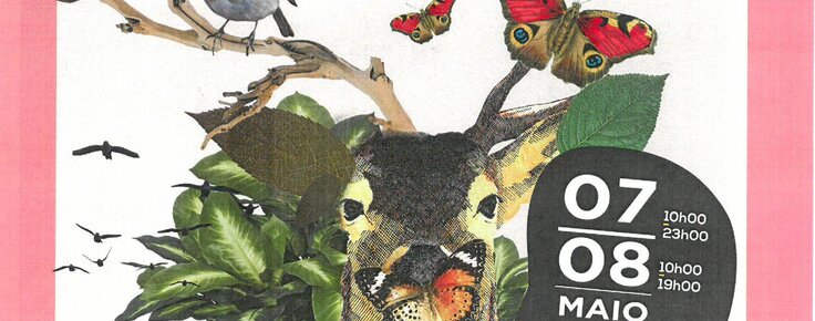 Cartaz_-_primaveraemcerveira