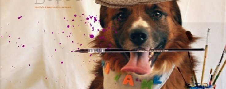 aaaAnimais_de_todos_e_de_ninguem