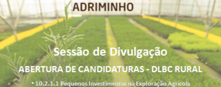 adriminhoo