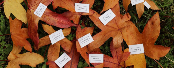 palavras_para_quie_vo_quero