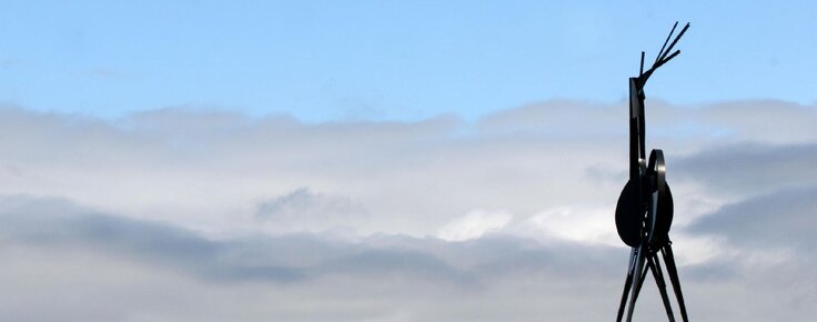 Cervo_Jos__Rodrigues