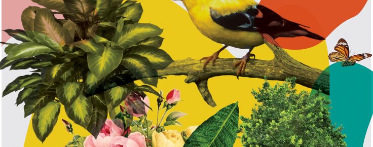 PROVA_CARTAZ_PRIMAVERA__1_