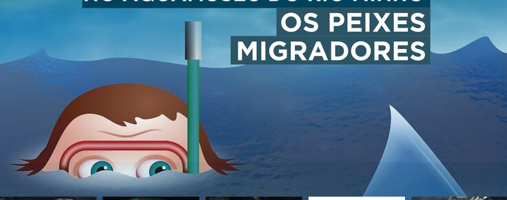 Cartaz_fe_rias_de_vera_o_aquamuseu_2017