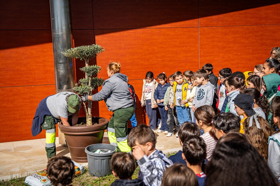 celvereadora260326_46