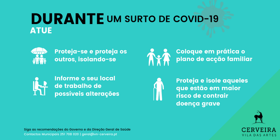 Infografia COVID-19: Durante um surto