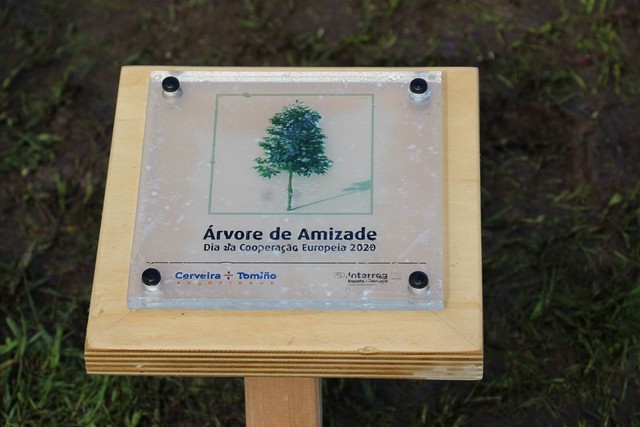 Placa identificativa da Árvore da Amizade