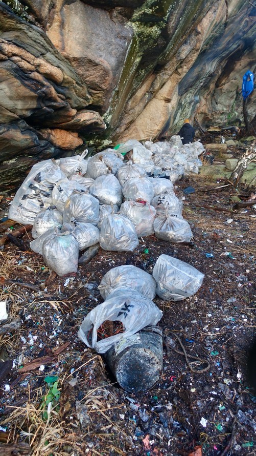 Nurdles and other debris