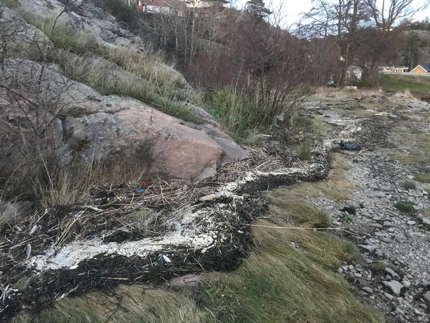 Paraffin wax stuck in sea weed with nurdles