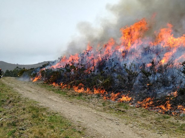 Ação de fogo controlado Serra da Sagosa