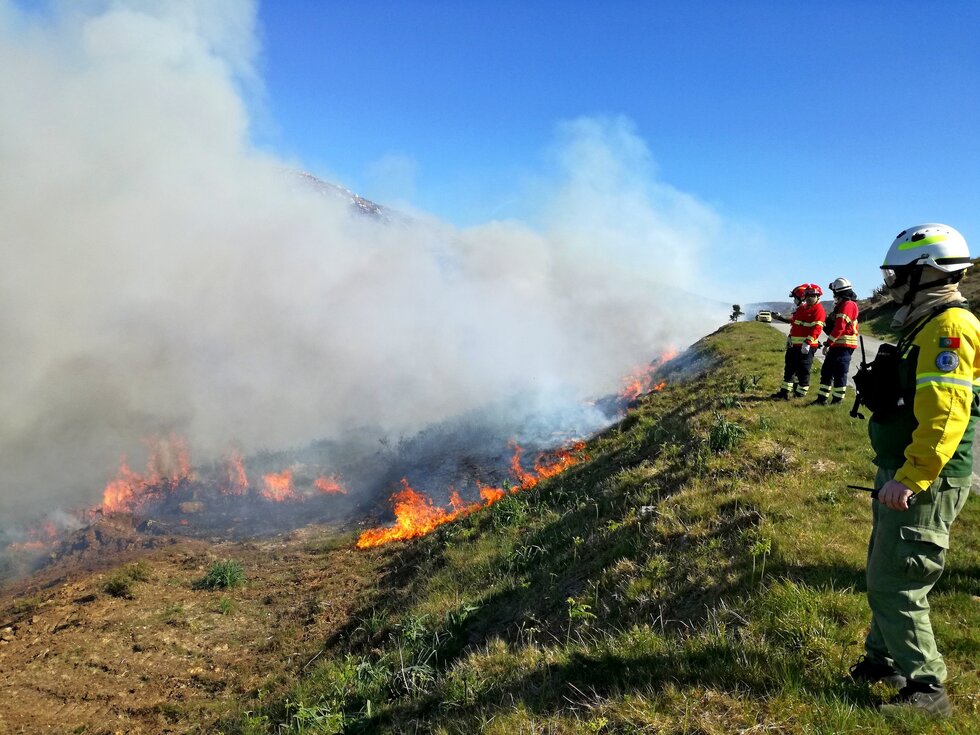 Serra da Salgosa 23 março 4